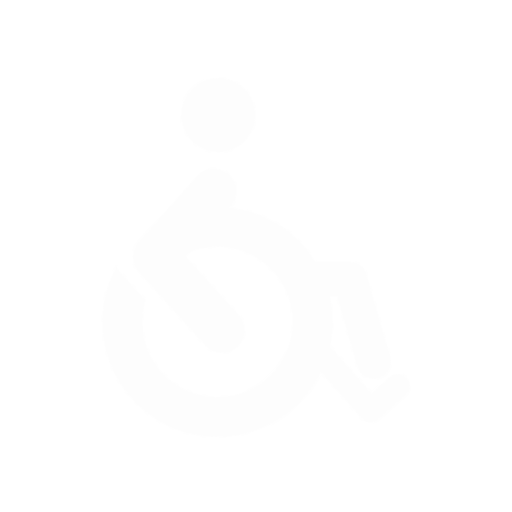 Icona disabili